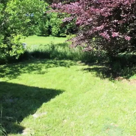 Haus Mit Riesigem Garten & Pool Prázdninový dům Odelzhausen