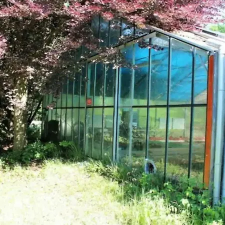 Haus Mit Riesigem Garten & Pool Prázdninový dům Odelzhausen