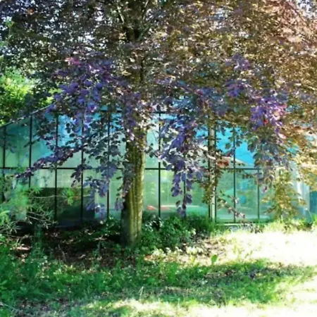 Prázdninový dům Haus Mit Riesigem Garten & Pool